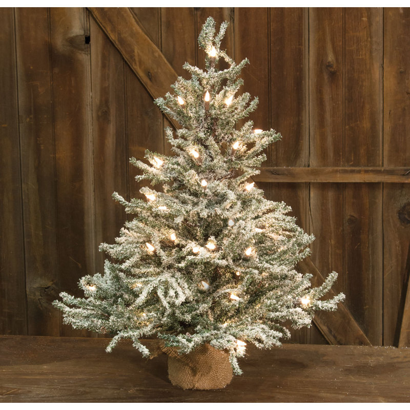August Grove® Snowy Lit 2' White Pine Artificial Christmas Tree